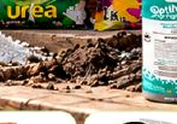 Fertilizante 10-30-10 x 1 kg